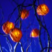 Chinese Lanterns On Mini'lights - Martin Tessler