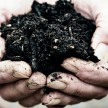 Beautiful, Rich Compost