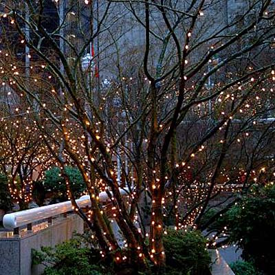 few methods can match humble cheap lowvoltage white string lights for 