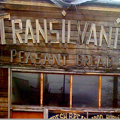 Transilvania Trading Transilvania Trading