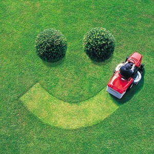 Fun With Lawn