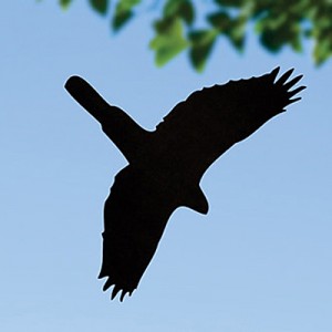 Duncraft Black Hawk Decal
